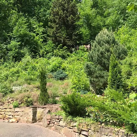 Ferienhaus Am Wald I Garten I Freisitz I Grill I Whirlpool I Kamin I Feuerschale Penzion *
