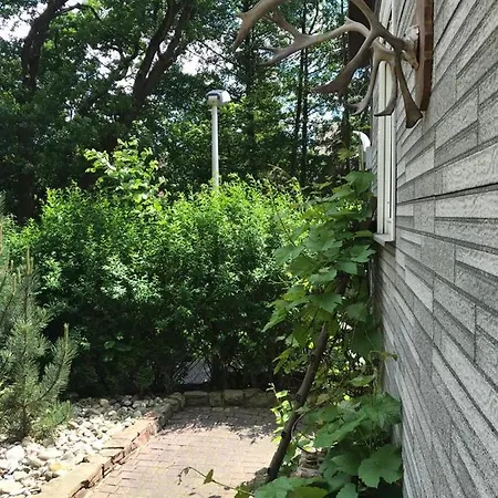 Ferienhaus Am Wald I Garten I Freisitz I Grill I Whirlpool I Kamin I Feuerschale Melsungen